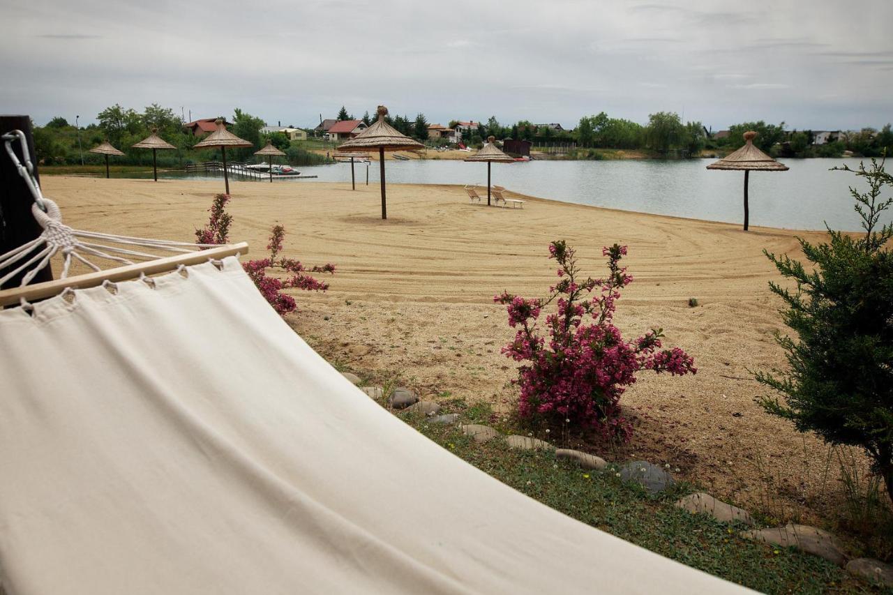 Pensiunea Brise Mediesu Aurit Luaran gambar