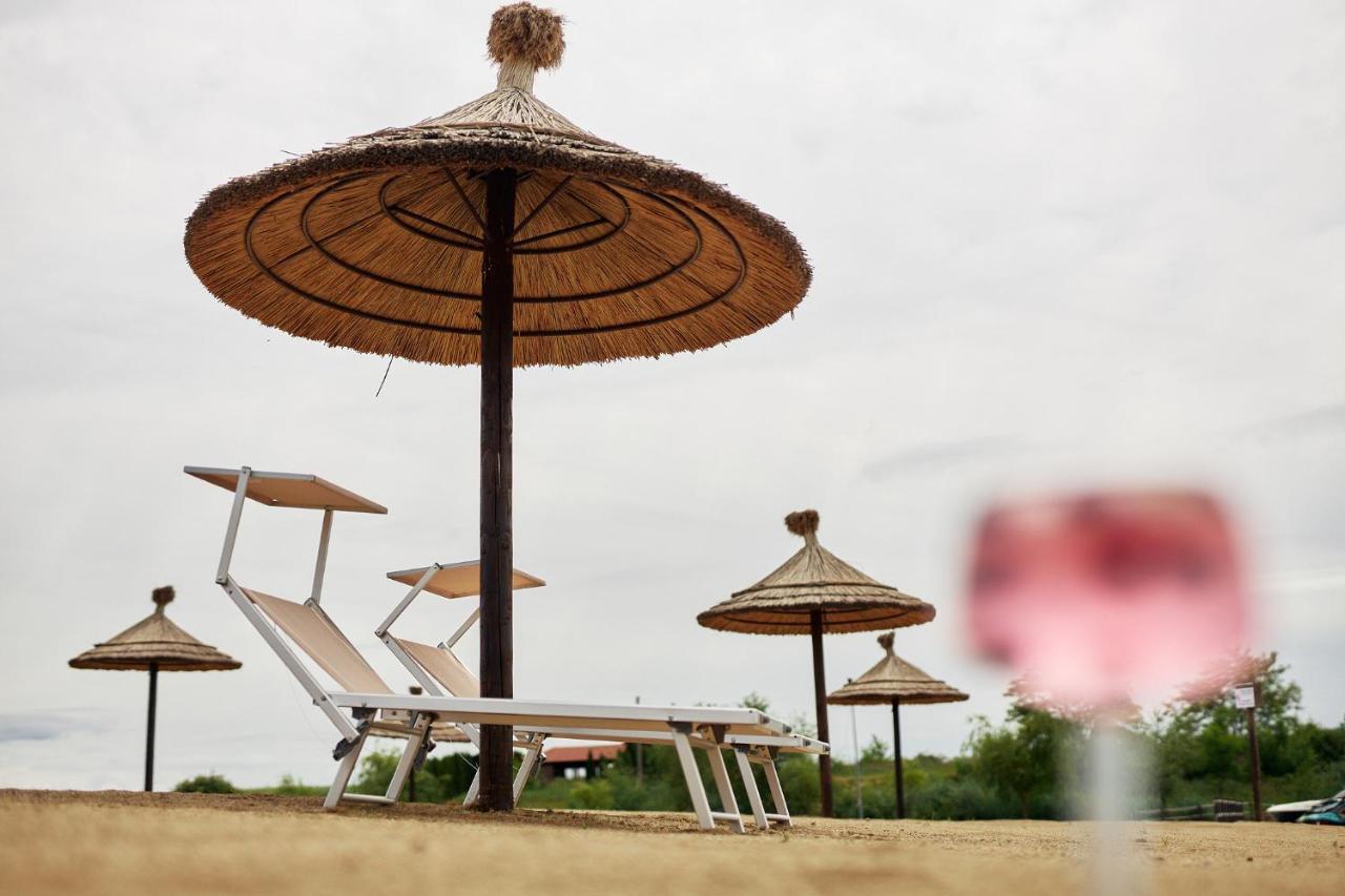 Pensiunea Brise Mediesu Aurit Luaran gambar